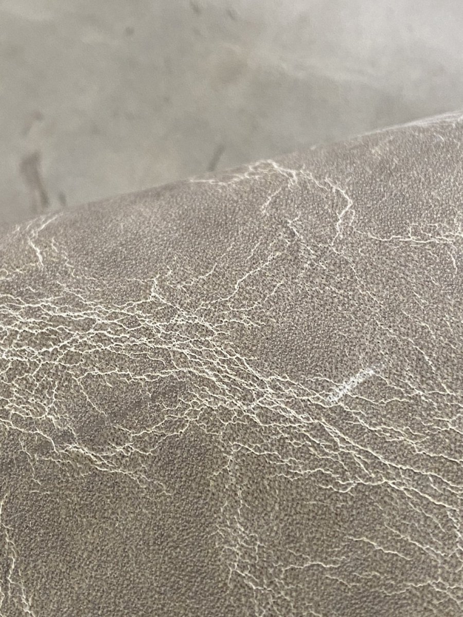 画像10: クードゥー　アイスグレー　クーズー　KUDU (10)