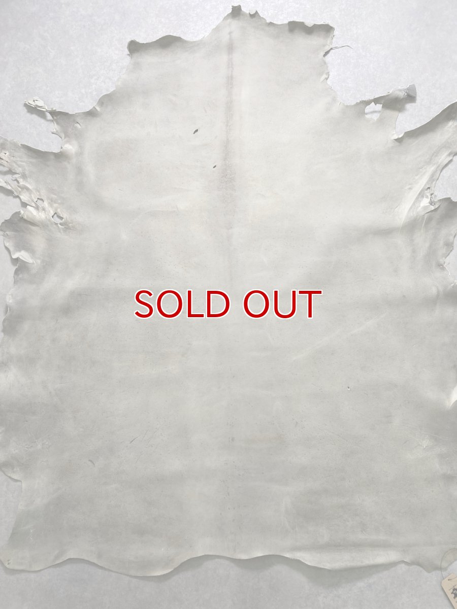 画像1: クードゥー　アイスグレー　クーズー　KUDU (1)