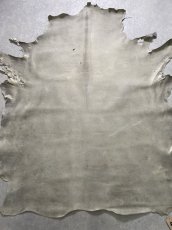 画像1: クードゥー　アイスグレー　クーズー　KUDU (1)