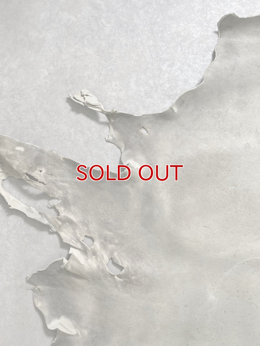 画像2: クードゥー　アイスグレー　クーズー　KUDU (2)