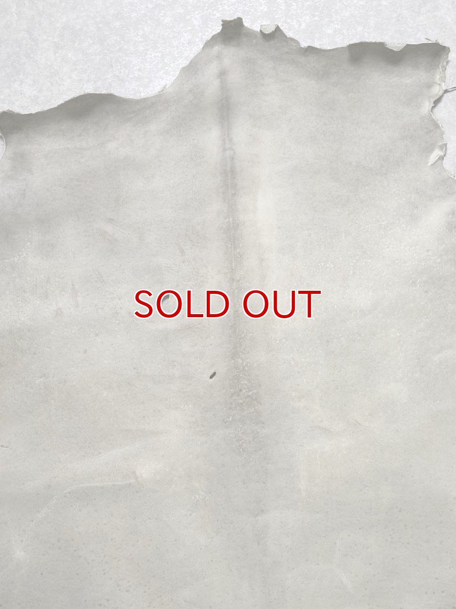 画像3: クードゥー　アイスグレー　クーズー　KUDU (3)