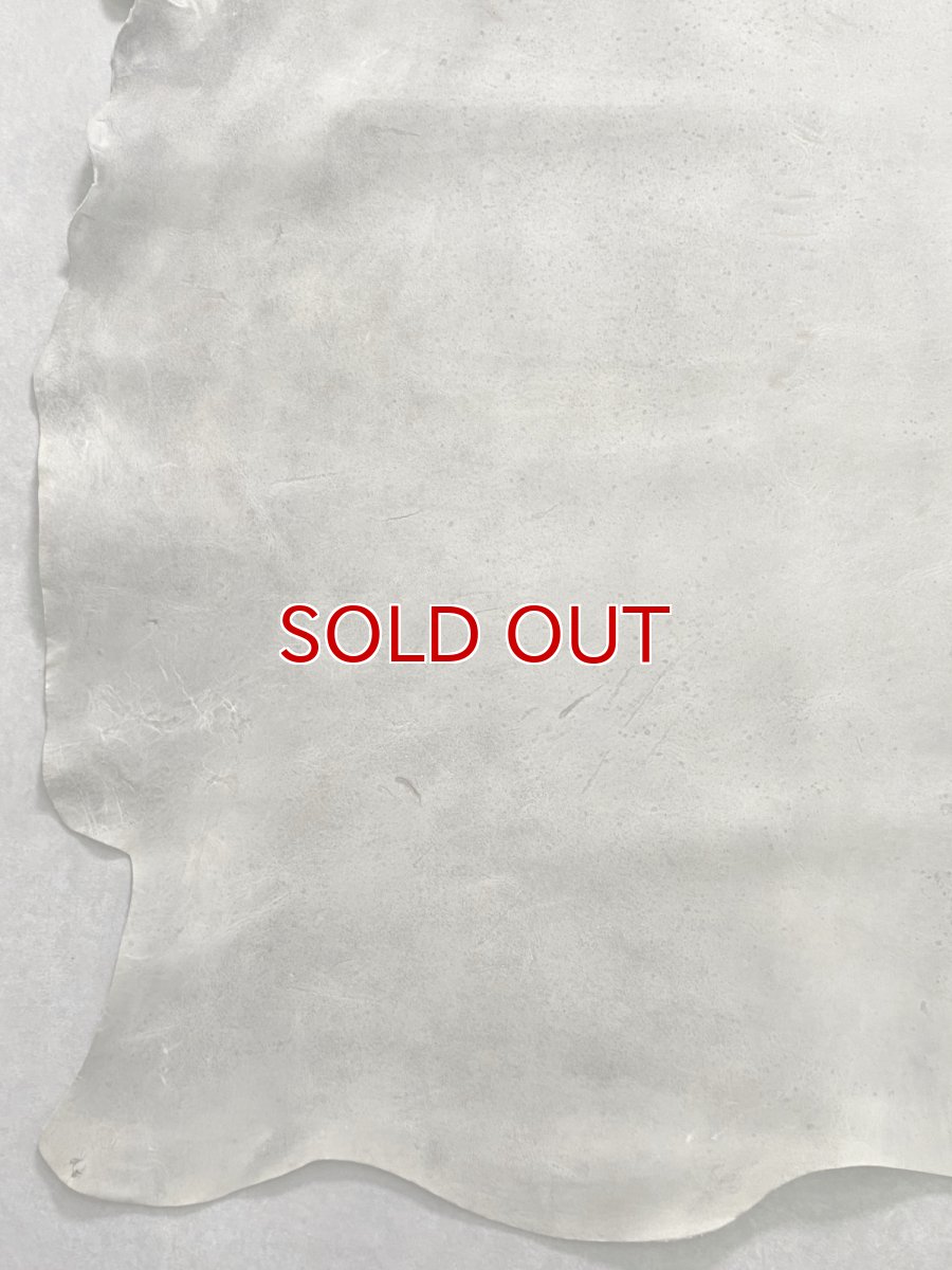 画像5: クードゥー　アイスグレー　クーズー　KUDU (5)