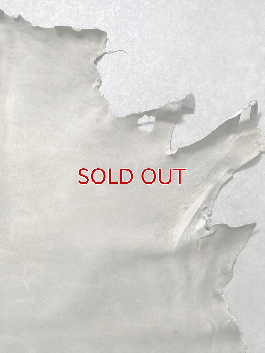 画像4: クードゥー　アイスグレー　クーズー　KUDU (4)