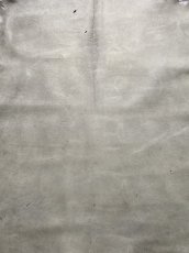 画像7: クードゥー　アイスグレー　クーズー　KUDU (7)