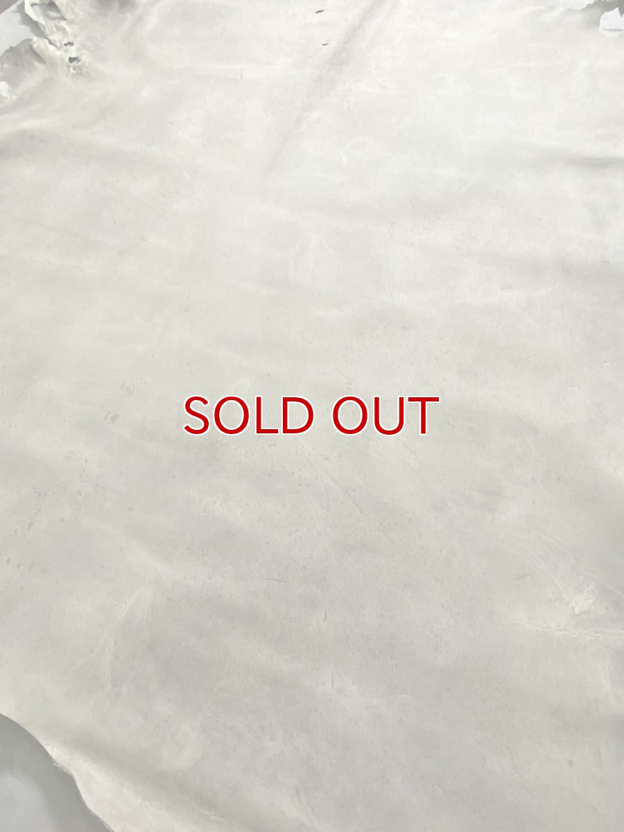 画像8: クードゥー　アイスグレー　クーズー　KUDU (8)