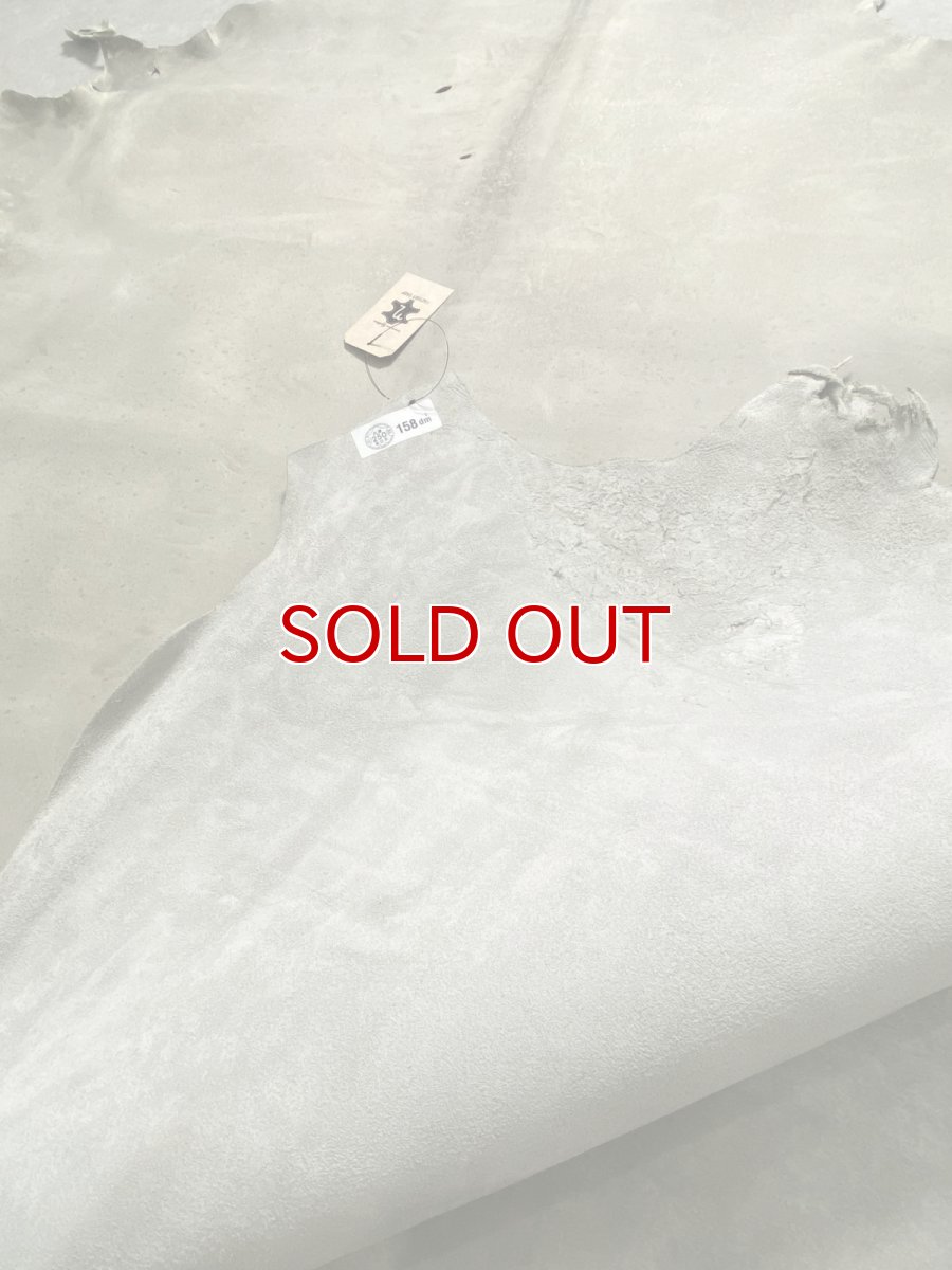 画像9: クードゥー　アイスグレー　クーズー　KUDU (9)