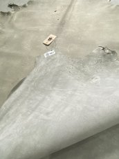 画像9: クードゥー　アイスグレー　クーズー　KUDU (9)
