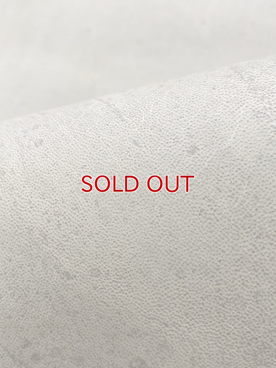 画像10: クードゥー　アイスグレー　クーズー　KUDU (10)