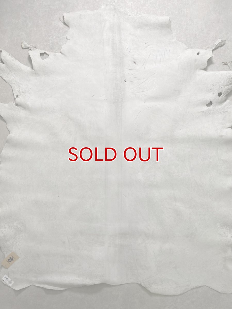 画像11: クードゥー　アイスグレー　クーズー　KUDU (11)