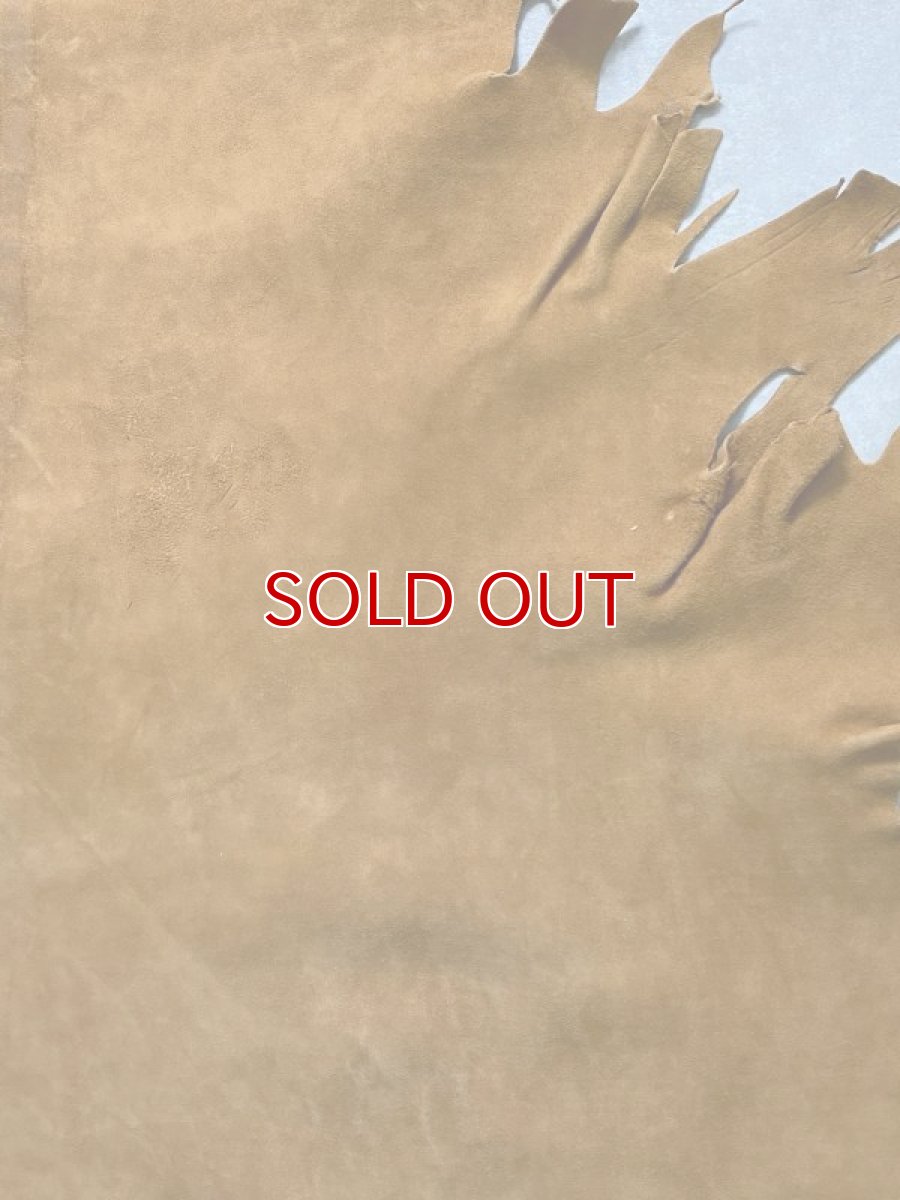 画像7: KUDUクードゥー　 床革スウェード　キャメル　クーズー (7)