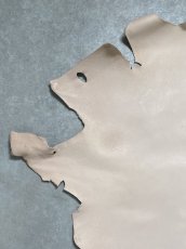 画像2: クードゥー　ヌメ革　ナチュラル　半裁　KUDU　クーズー (2)
