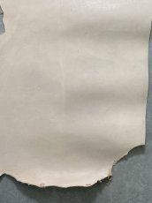 画像7: クードゥー　ヌメ革　ナチュラル　半裁　KUDU　クーズー (7)