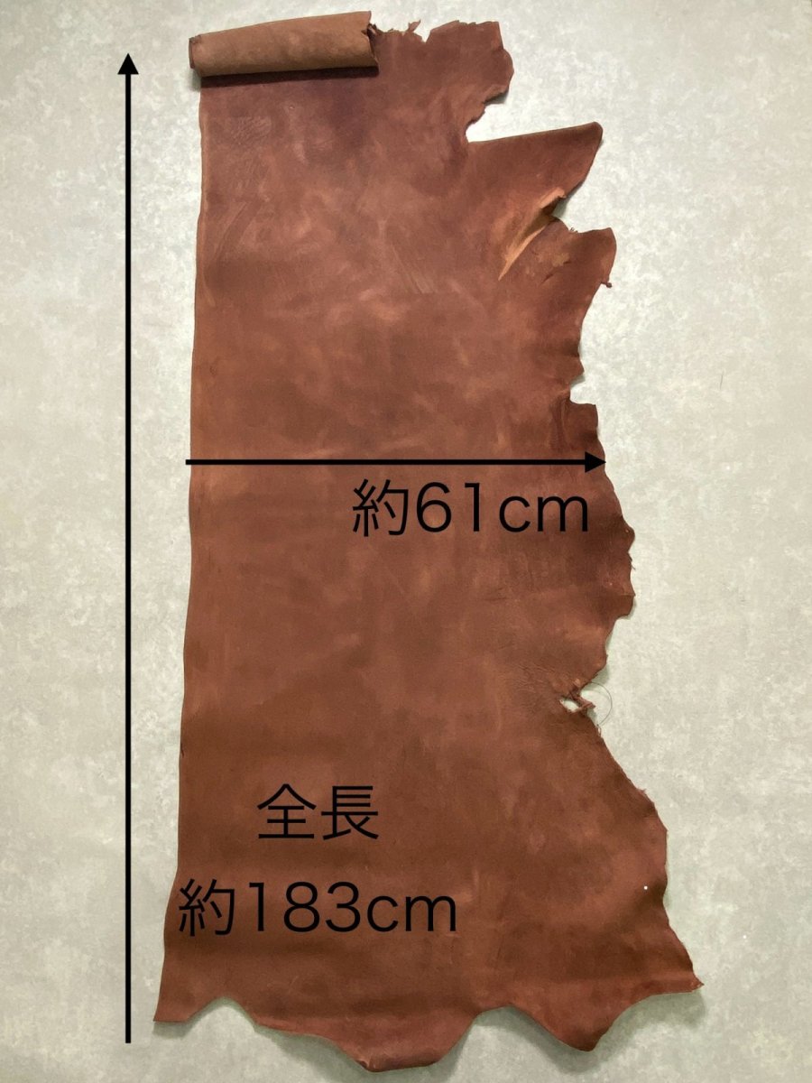 画像11: クードゥー　ブラウン　半裁　クーズー　KUDU (11)