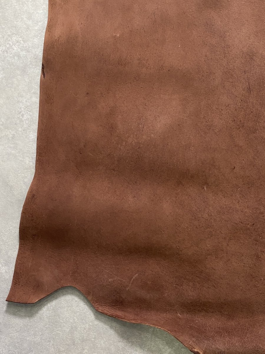 画像9: クードゥー　ブラウン　半裁　クーズー　KUDU (9)