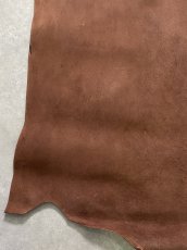 画像9: クードゥー　ブラウン　半裁　クーズー　KUDU (9)