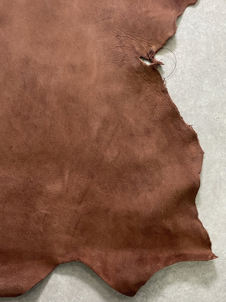 画像8: クードゥー　ブラウン　半裁　クーズー　KUDU (8)