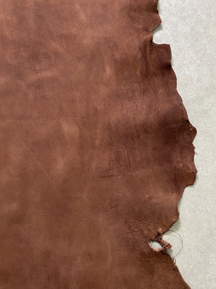 画像6: クードゥー　ブラウン　半裁　クーズー　KUDU (6)