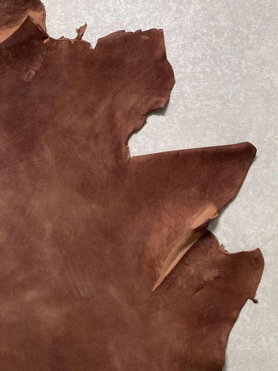 画像5: クードゥー　ブラウン　半裁　クーズー　KUDU (5)