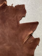 画像5: クードゥー　ブラウン　半裁　クーズー　KUDU (5)