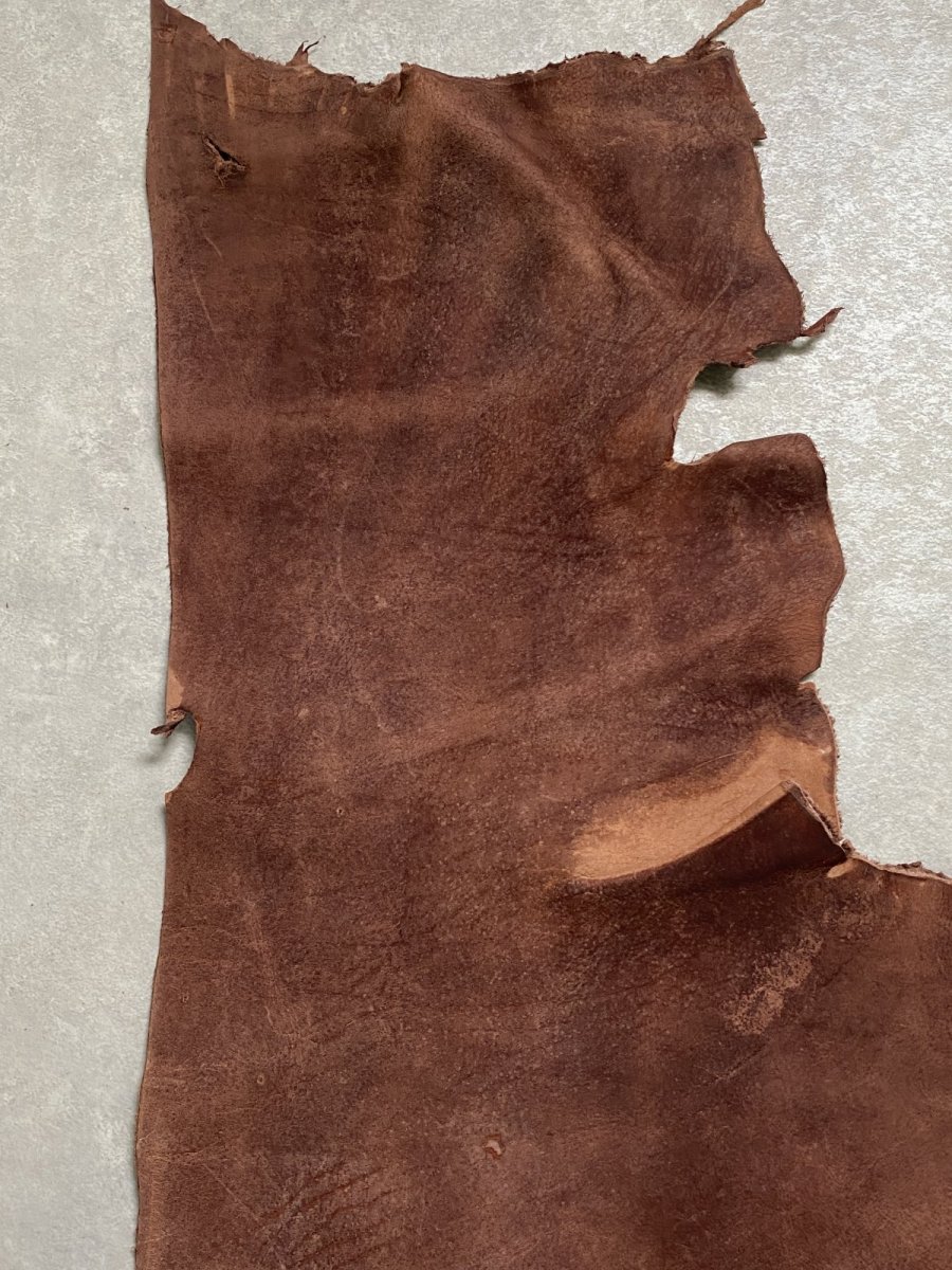 画像4: クードゥー　ブラウン　半裁　クーズー　KUDU (4)