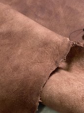 画像2: クードゥー　ブラウン　半裁　クーズー　KUDU (2)