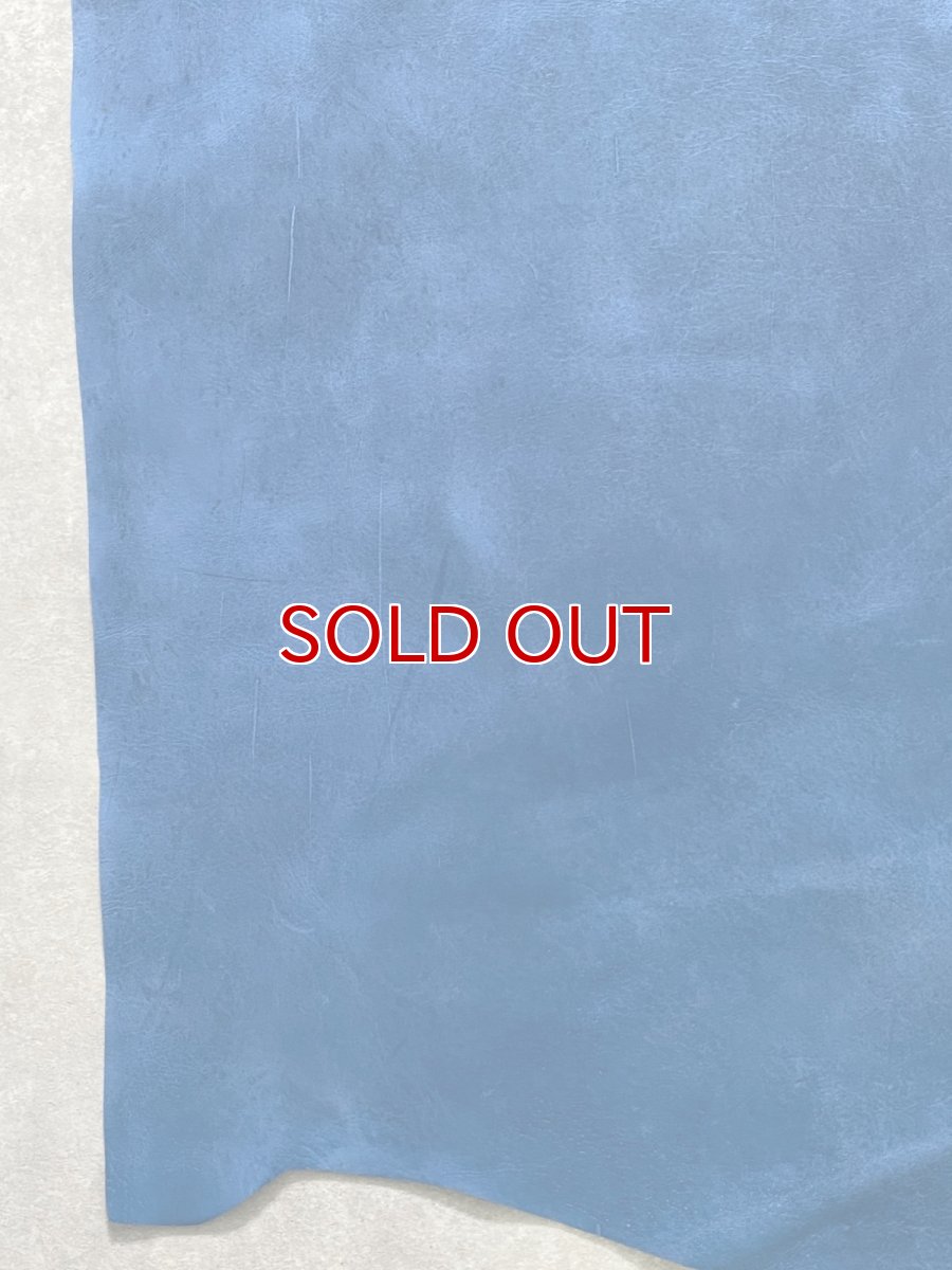 画像7: クードゥー　ブルー　半裁　クーズー　KUDU (7)