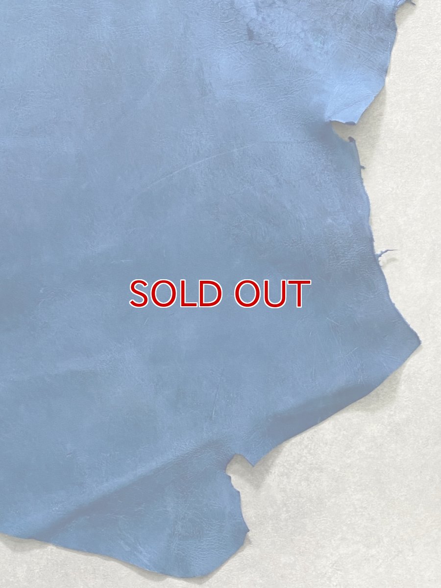 画像6: クードゥー　ブルー　半裁　クーズー　KUDU (6)