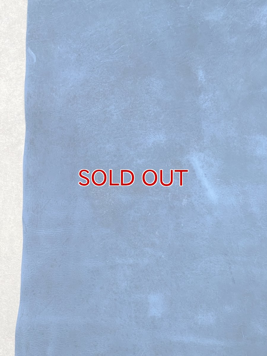 画像8: クードゥー　ブルー　半裁　クーズー　KUDU (8)