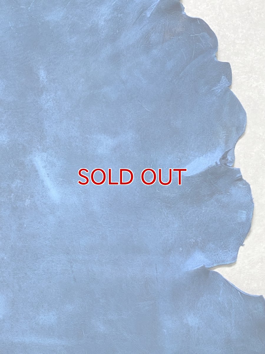 画像4: クードゥー　ブルー　半裁　クーズー　KUDU (4)