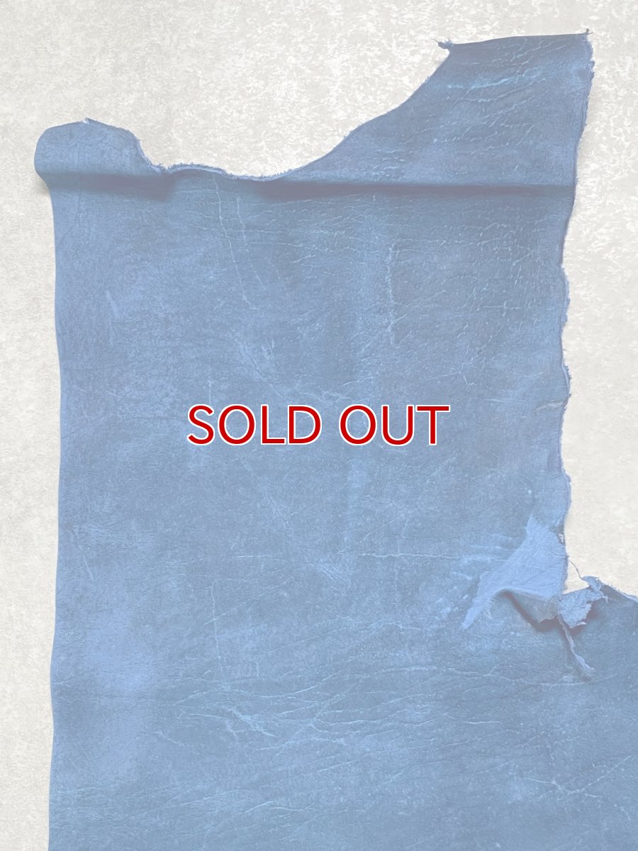 画像3: クードゥー　ブルー　半裁　クーズー　KUDU (3)