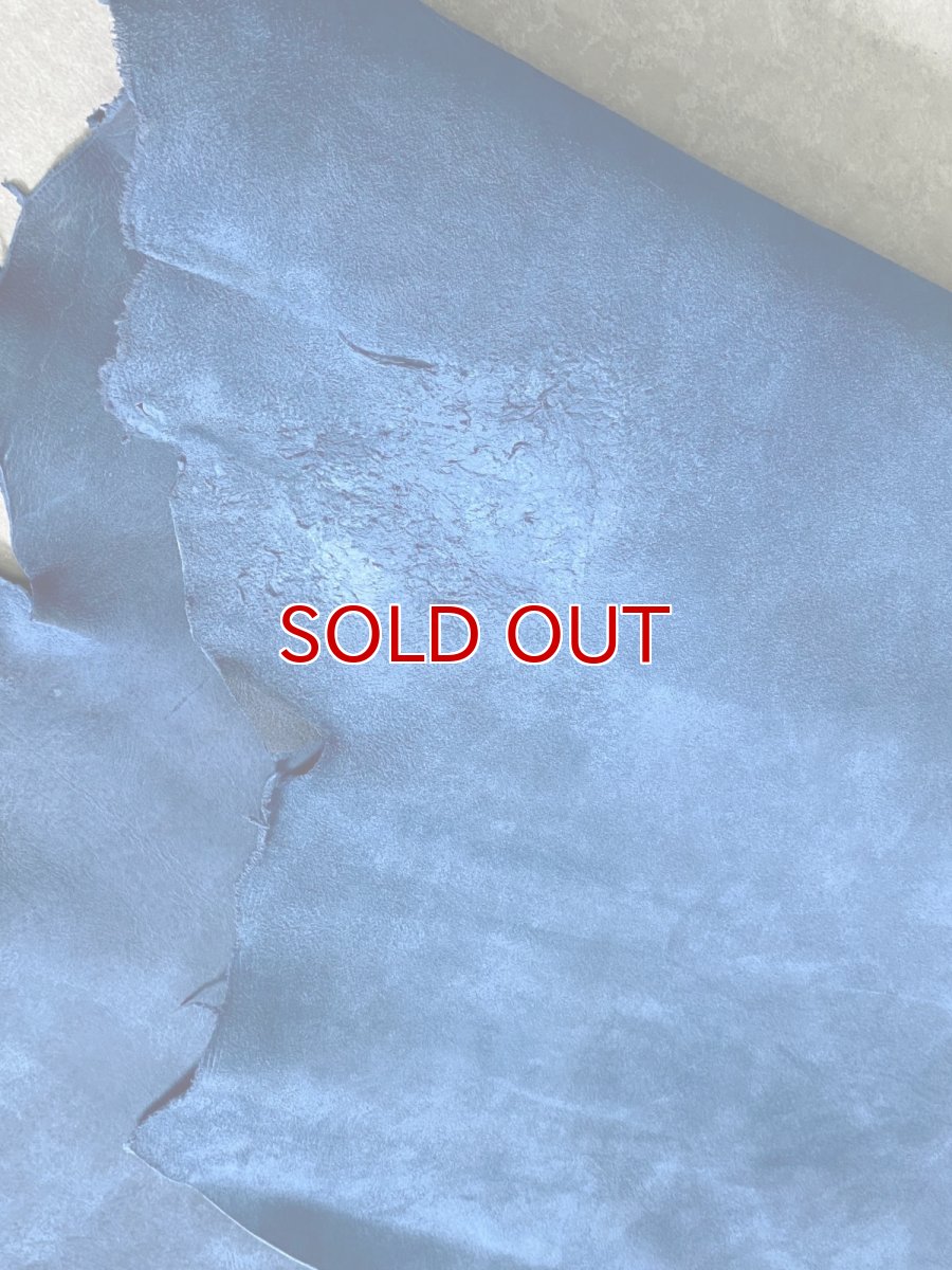 画像9: クードゥー　ブルー　半裁　クーズー　KUDU (9)