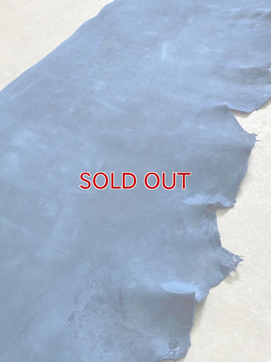 画像2: クードゥー　ブルー　半裁　クーズー　KUDU (2)