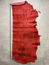 画像13: クードゥー　レッド　半裁　クーズー　KUDU (13)