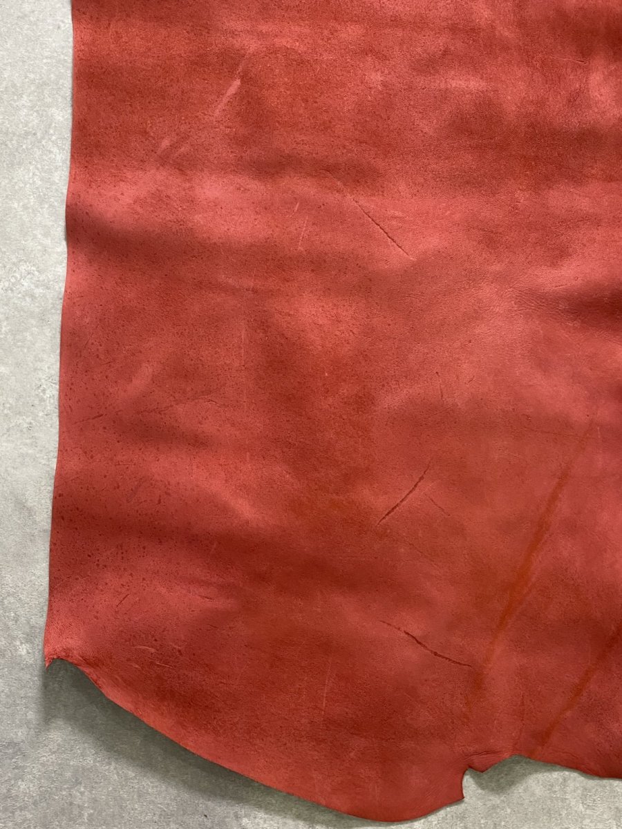 画像11: クードゥー　レッド　半裁　クーズー　KUDU (11)