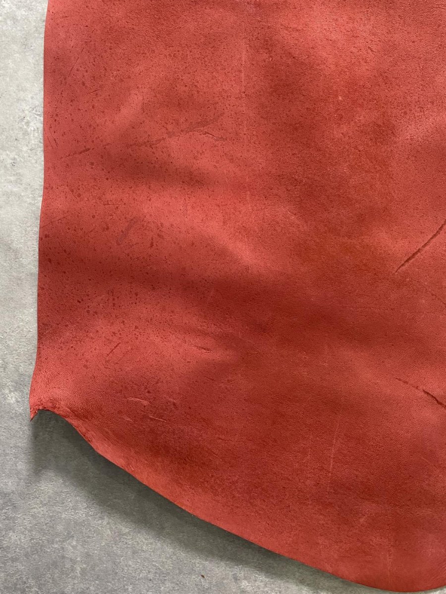 画像10: クードゥー　レッド　半裁　クーズー　KUDU (10)