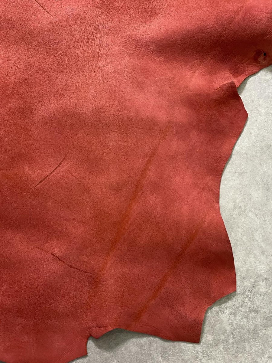 画像9: クードゥー　レッド　半裁　クーズー　KUDU (9)