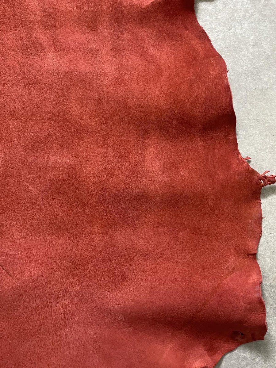 画像7: クードゥー　レッド　半裁　クーズー　KUDU (7)