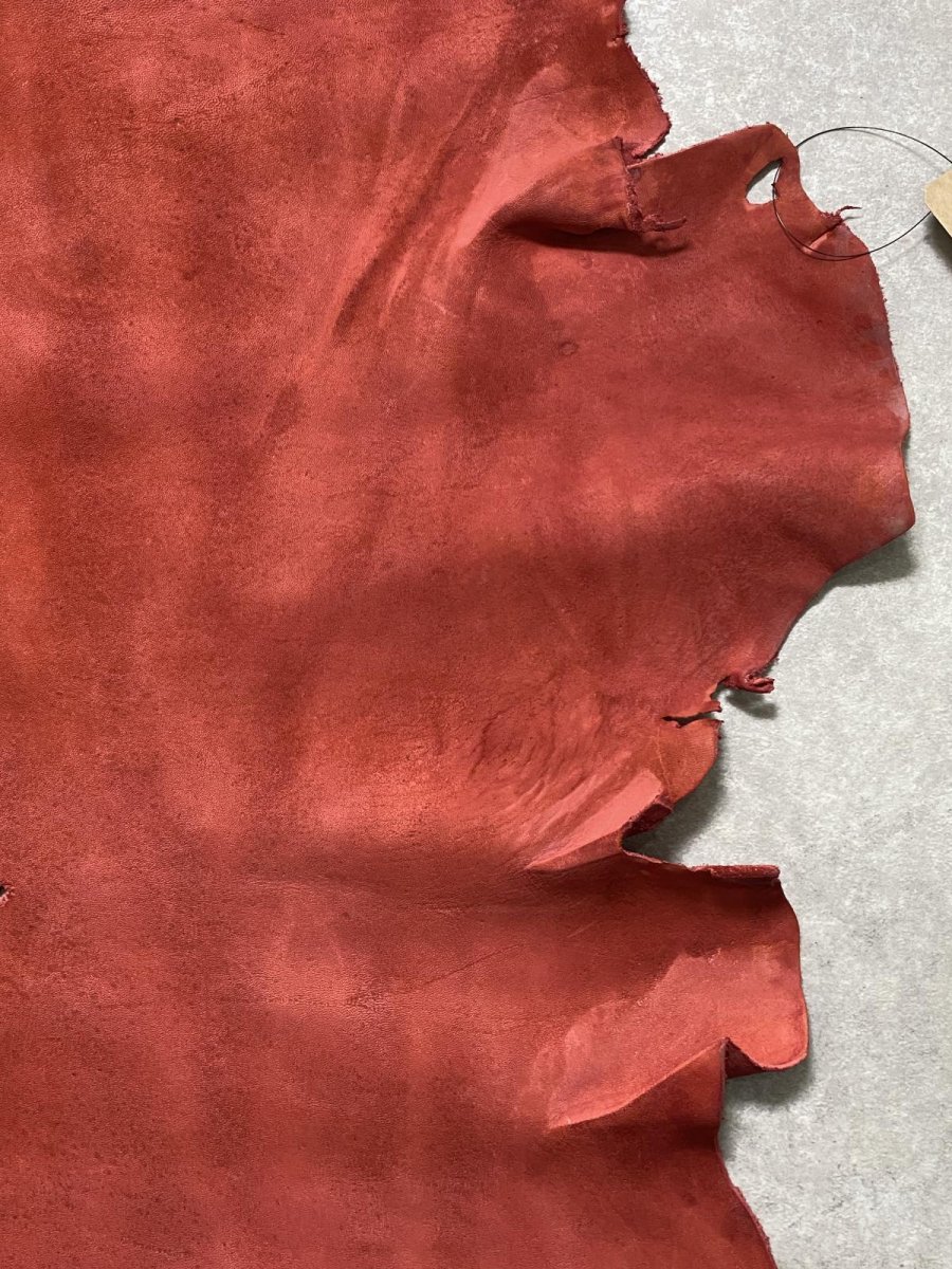 画像6: クードゥー　レッド　半裁　クーズー　KUDU (6)