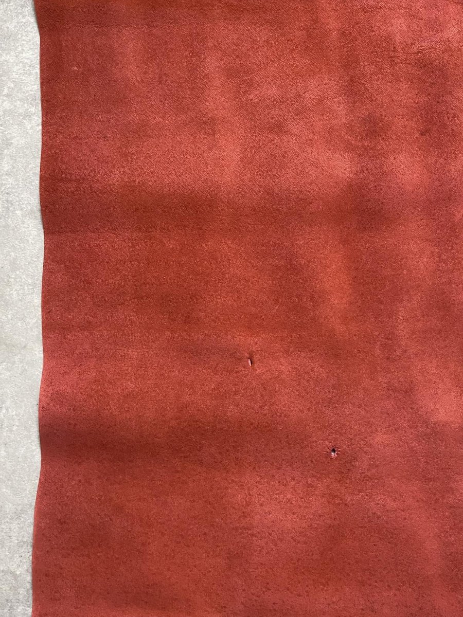 画像5: クードゥー　レッド　半裁　クーズー　KUDU (5)