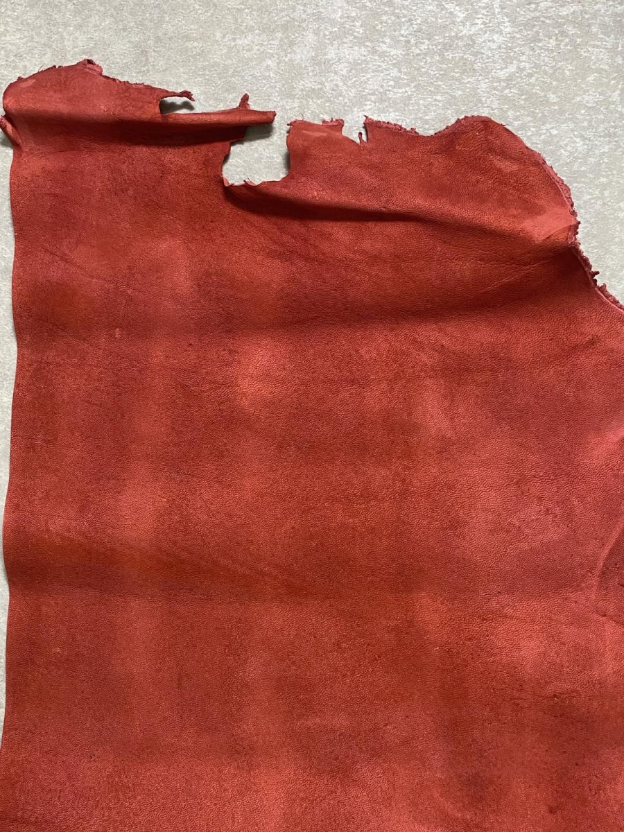 画像4: クードゥー　レッド　半裁　クーズー　KUDU (4)