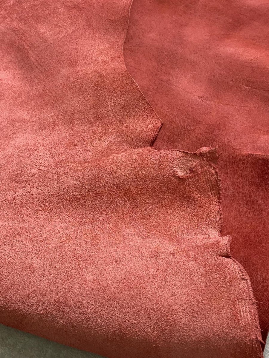 画像12: クードゥー　レッド　半裁　クーズー　KUDU (12)