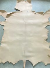 画像1: クードゥー　ヌメ革　ナチュラル　KUDU　クーズー (1)