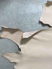 画像2: クードゥー　ヌメ革　ナチュラル　KUDU　クーズー (2)