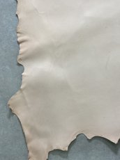 画像5: クードゥー　ヌメ革　ナチュラル　KUDU　クーズー (5)