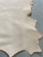 画像6: クードゥー　ヌメ革　ナチュラル　KUDU　クーズー (6)