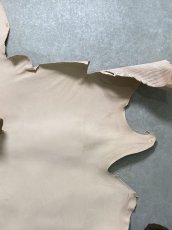 画像4: クードゥー　ヌメ革　ナチュラル　KUDU　クーズー (4)