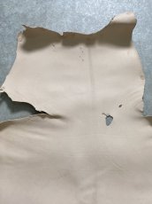 画像3: クードゥー　ヌメ革　ナチュラル　KUDU　クーズー (3)