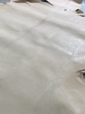 画像7: クードゥー　ヌメ革　ナチュラル　KUDU　クーズー (7)