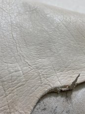 画像8: クードゥー　ヌメ革　ナチュラル　KUDU　クーズー (8)