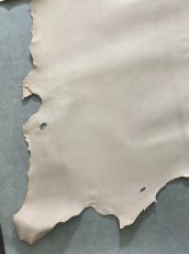 画像5: クードゥー　ヌメ革　ナチュラル　KUDU　クーズー (5)